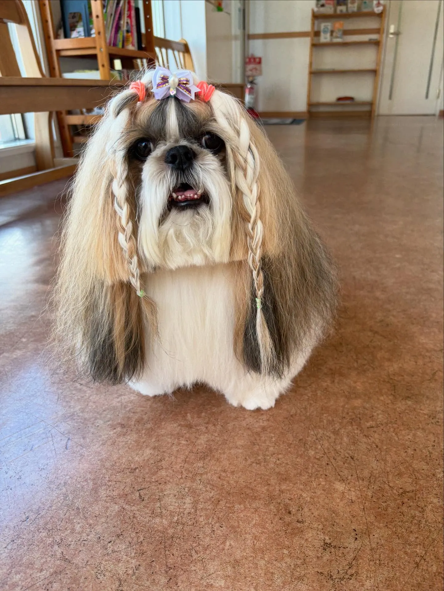 犬のシャンプー🫧