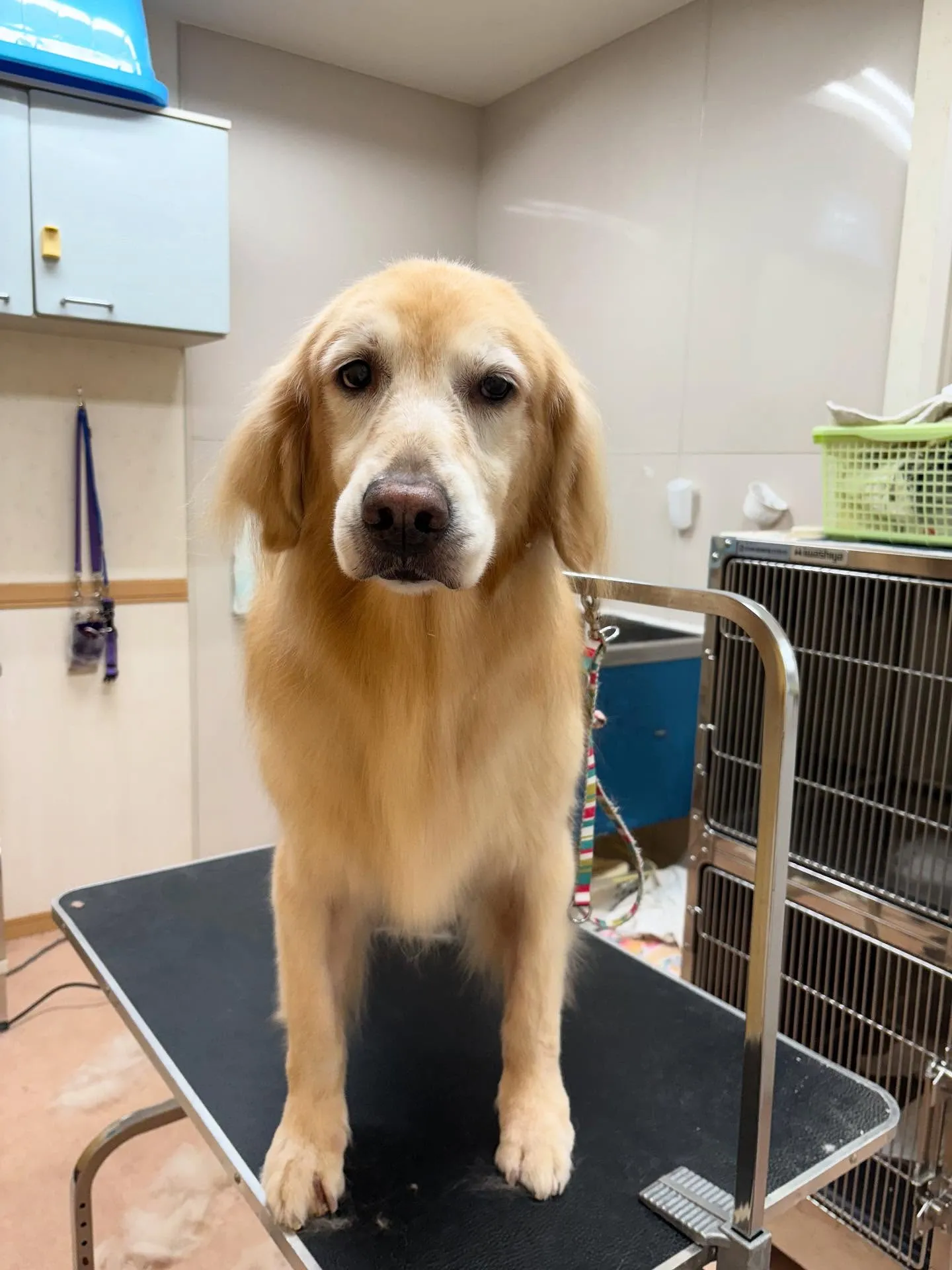 れいなちゃん♡