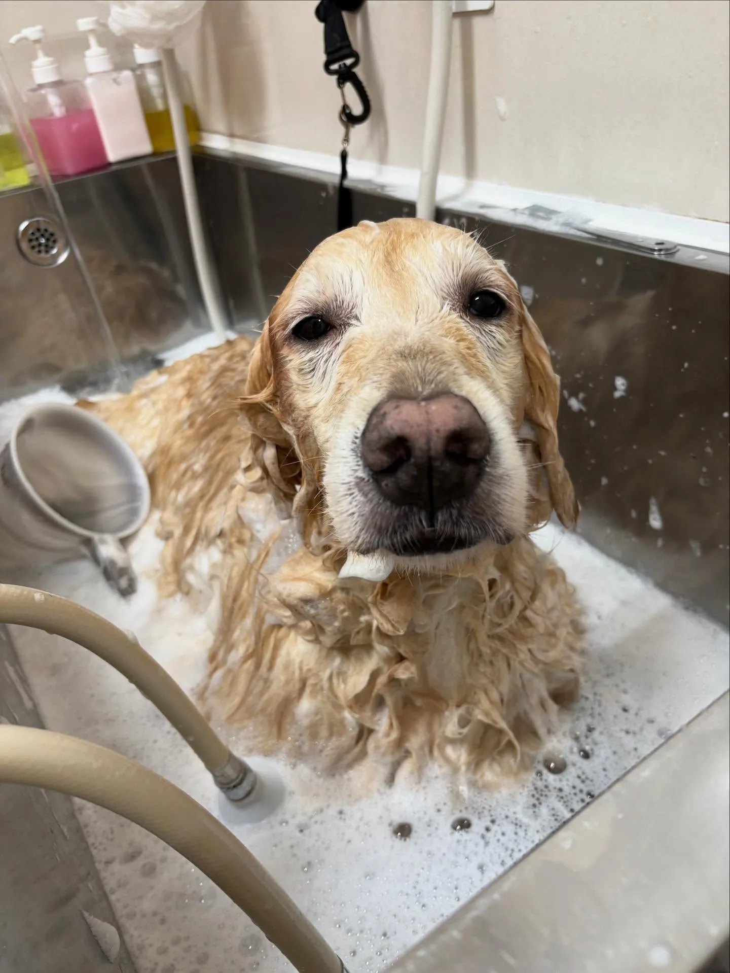 れいなちゃん♡