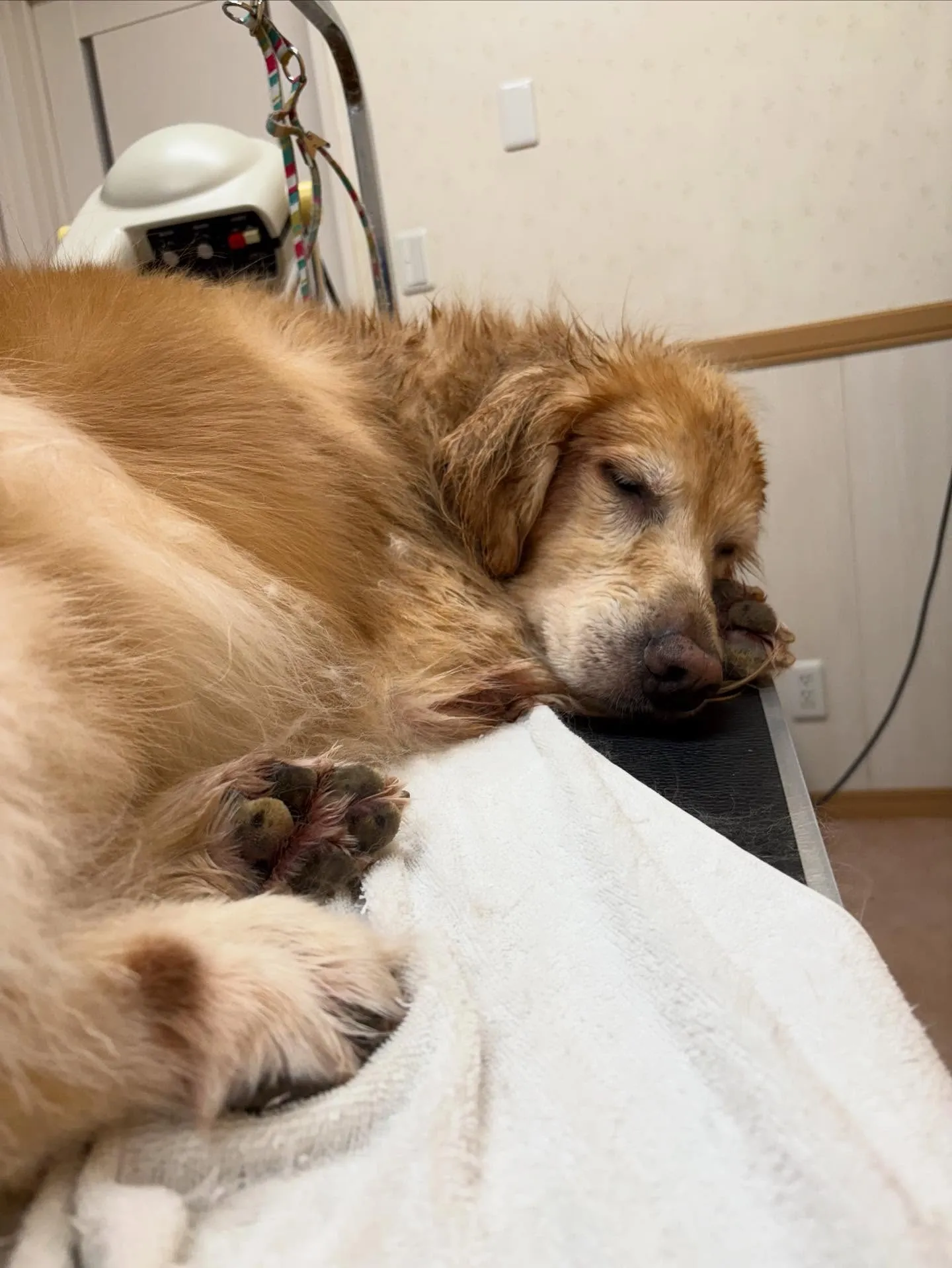 れいなちゃん♡