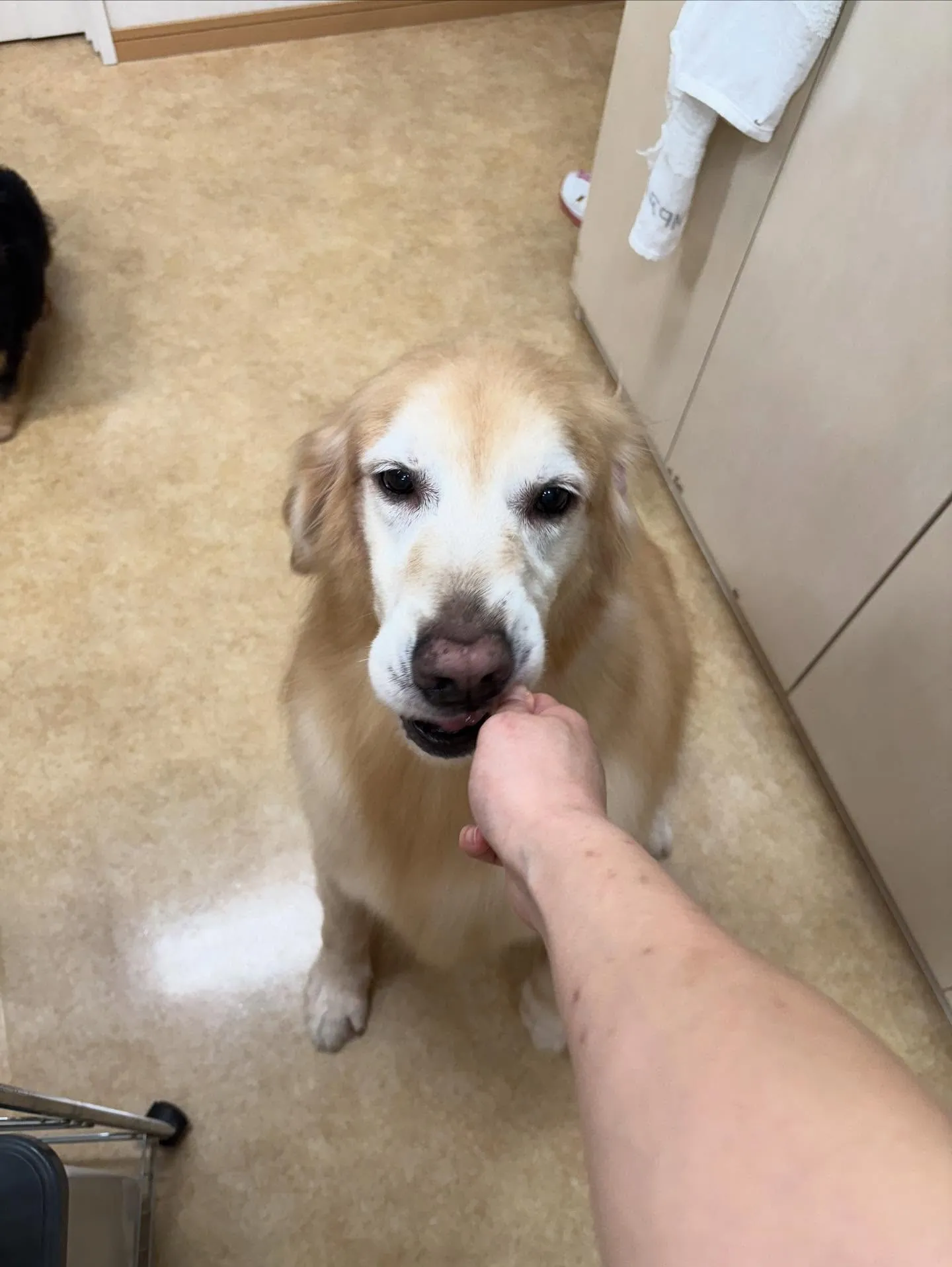 れいなちゃん♡