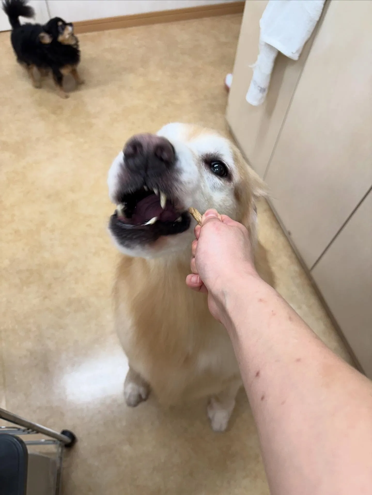 れいなちゃん♡