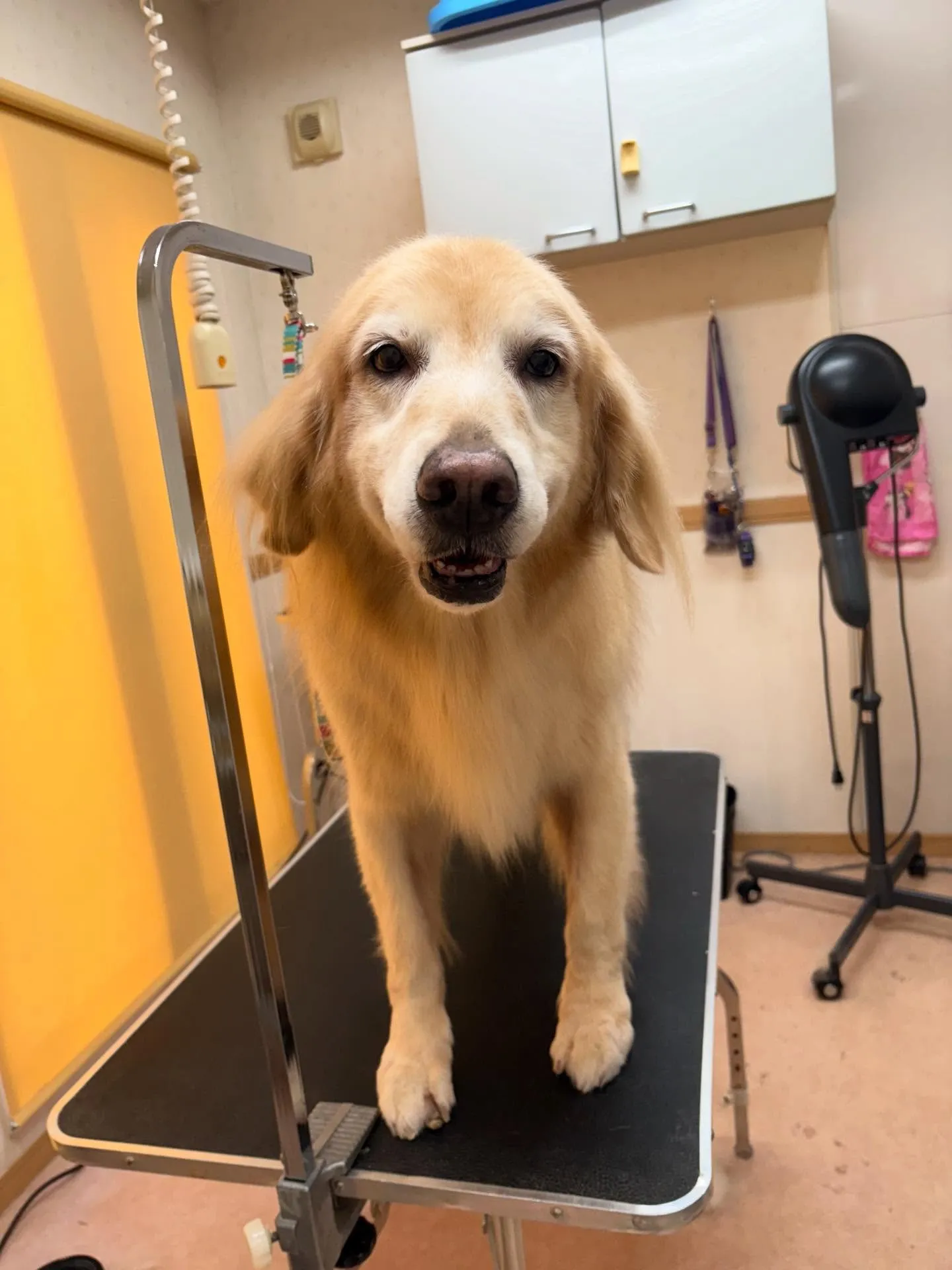 れいなちゃん♡