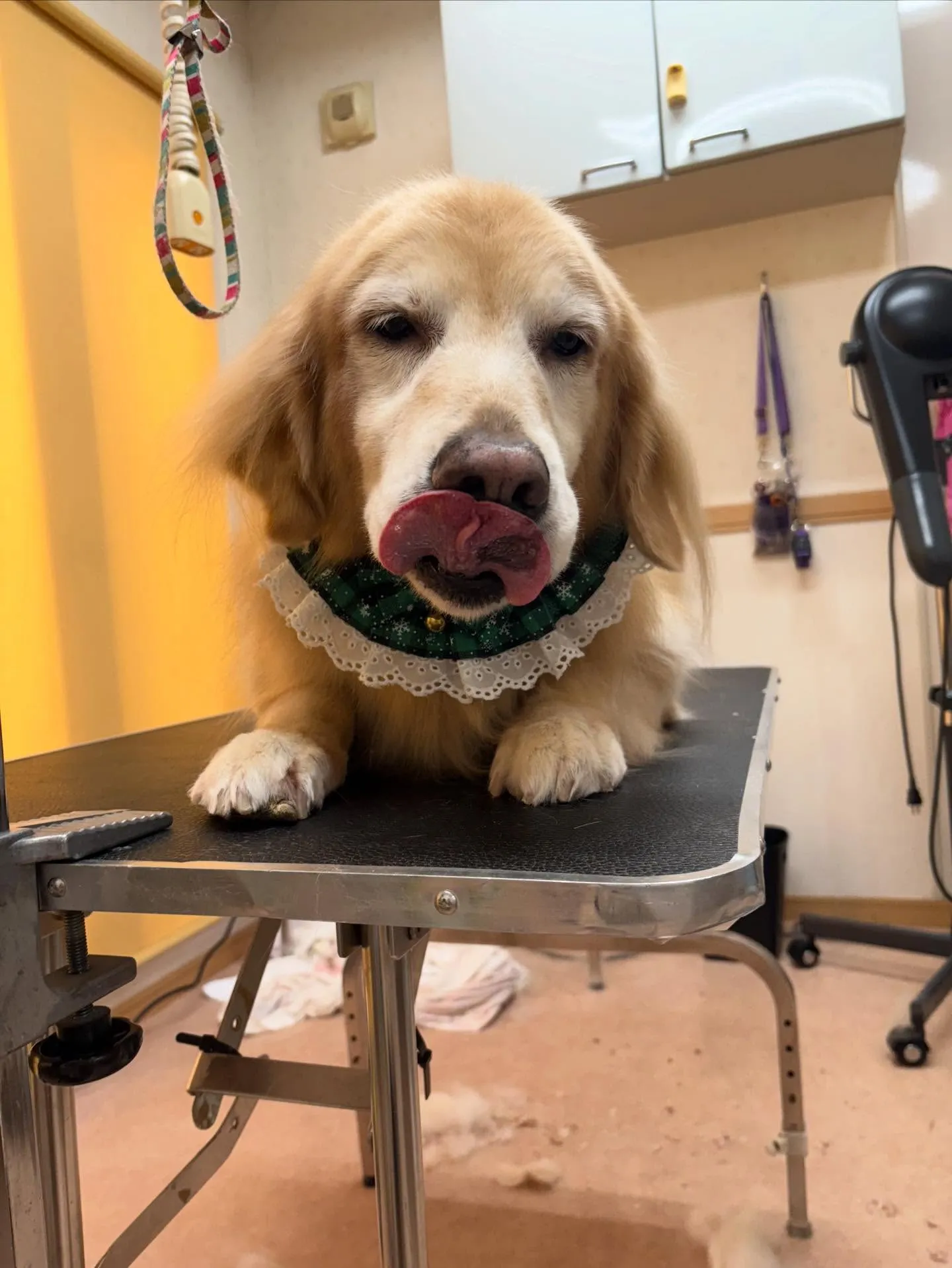 れいなちゃん♡