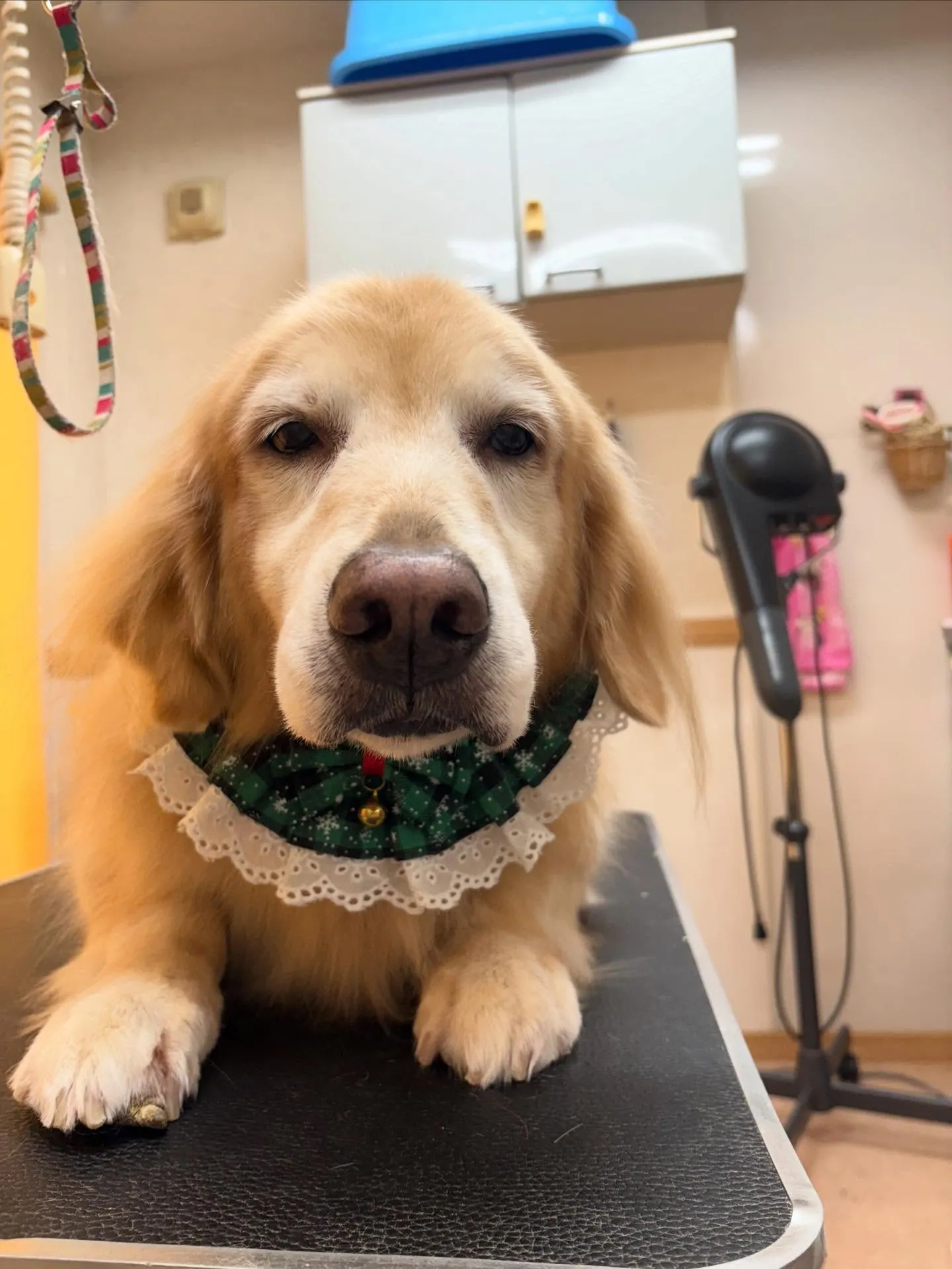 れいなちゃん♡