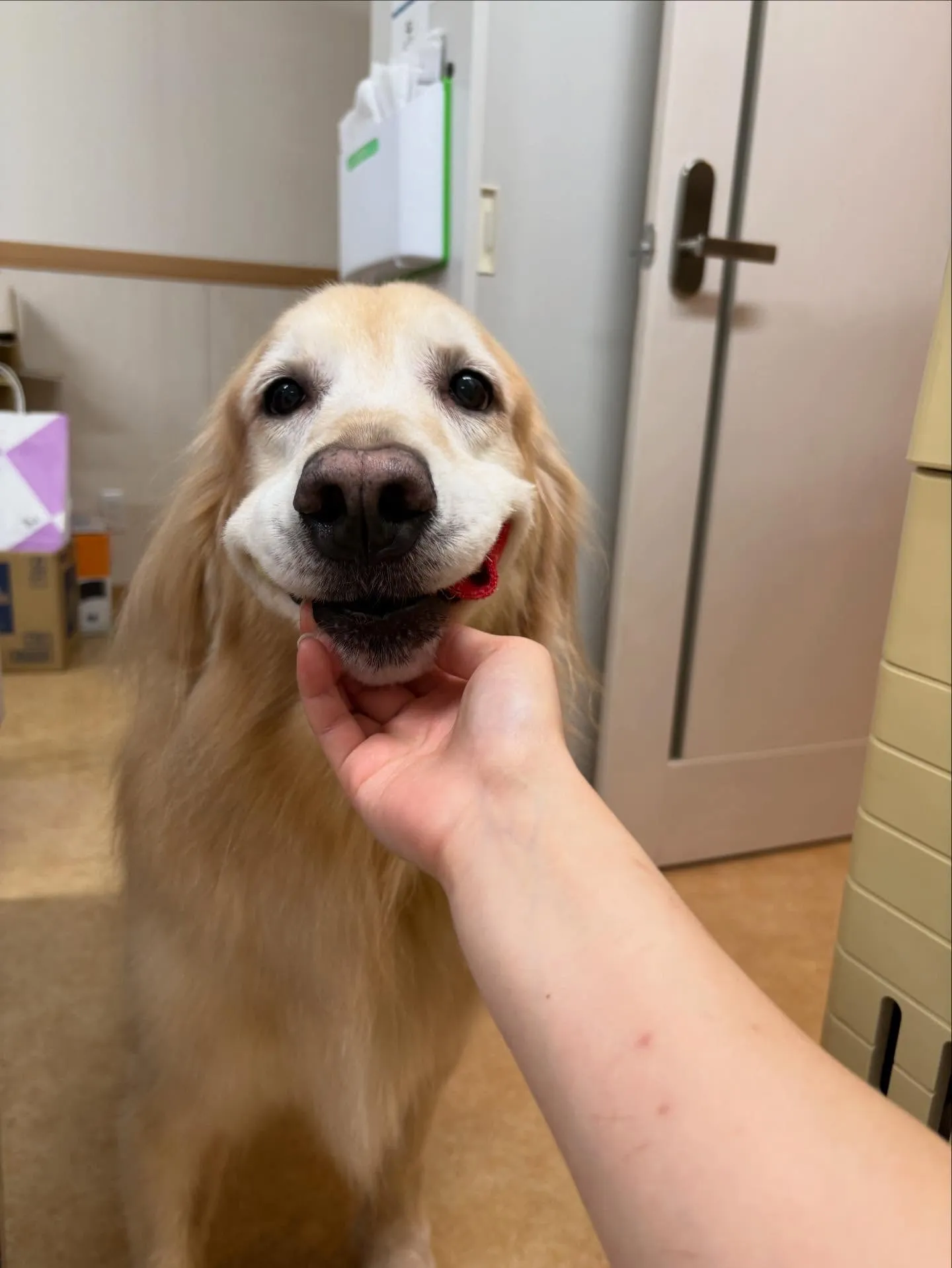 れいなちゃん♡