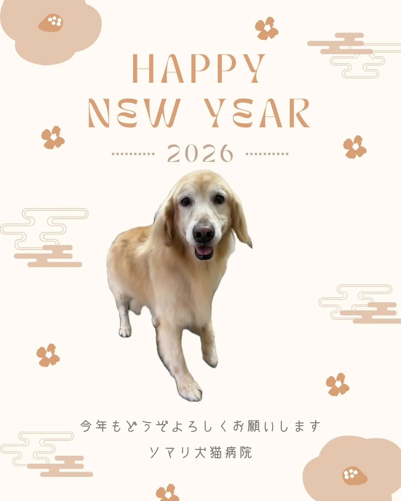 新年のご挨拶🎍