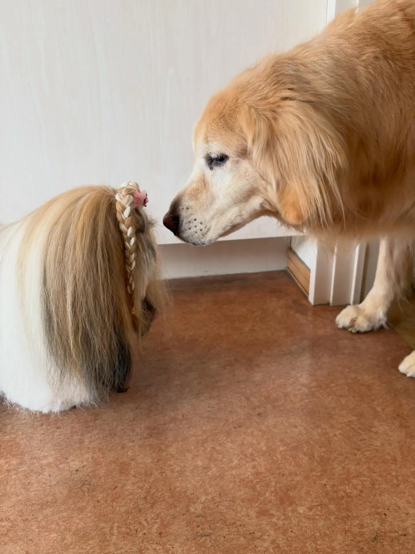 犬のシャンプー🫧