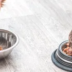 当院の特徴